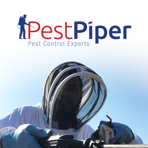 Logo Design for Pest Control Companies
